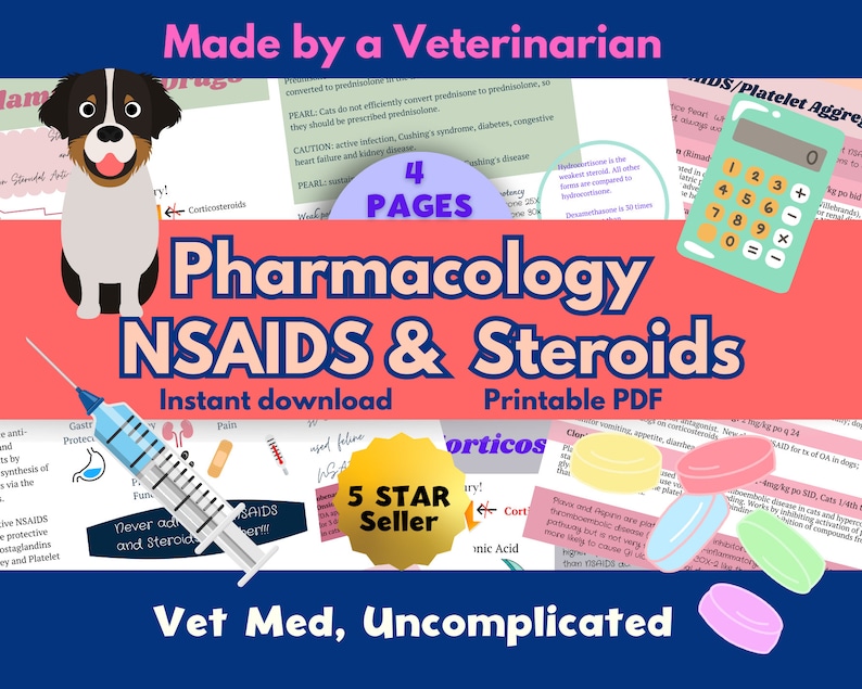 May include: A colorful digital download guide for veterinarians on the pharmacology of NSAIDs and steroids. The guide features a cartoon dog, a syringe, pills, and a calculator. The text "Made by a Veterinarian" and "Vet Med, Uncomplicated" are also included.