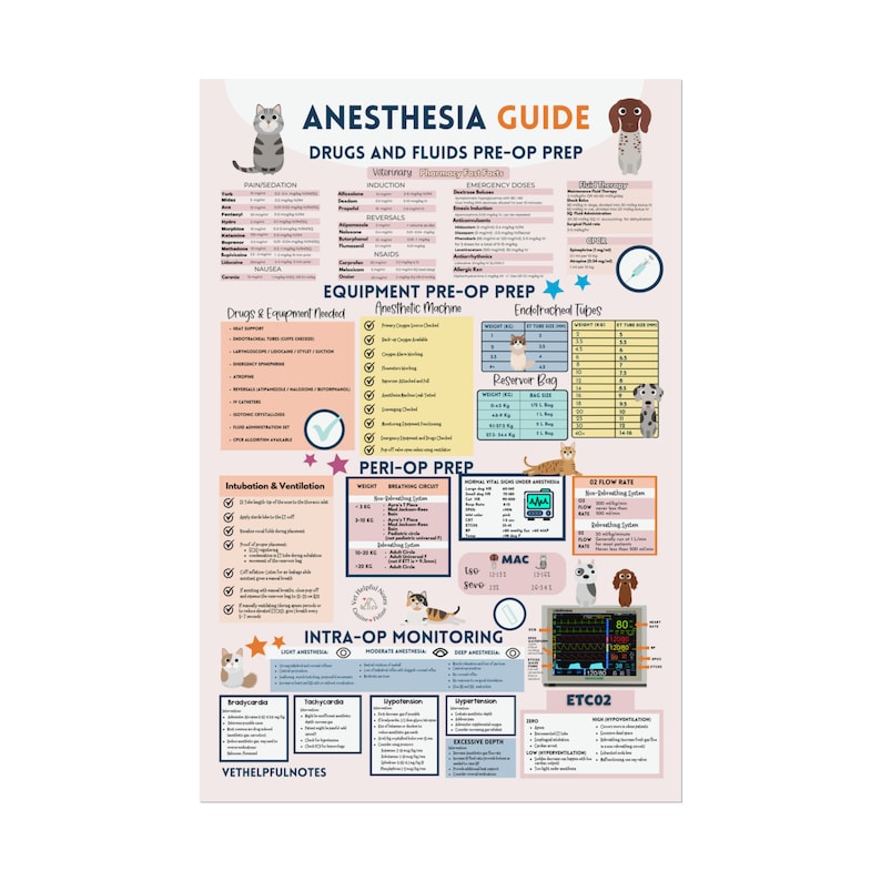 Printable Veterinary Anesthesia Poster digital vet tech anesthesia notes veterinary cheat sheets poster vet nurse anesthesia PDF image 3