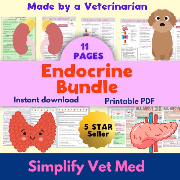 Veterinary Endocrine Diseases Bundle- Vet Tech, Vet Nurse, Vet Student, Vet