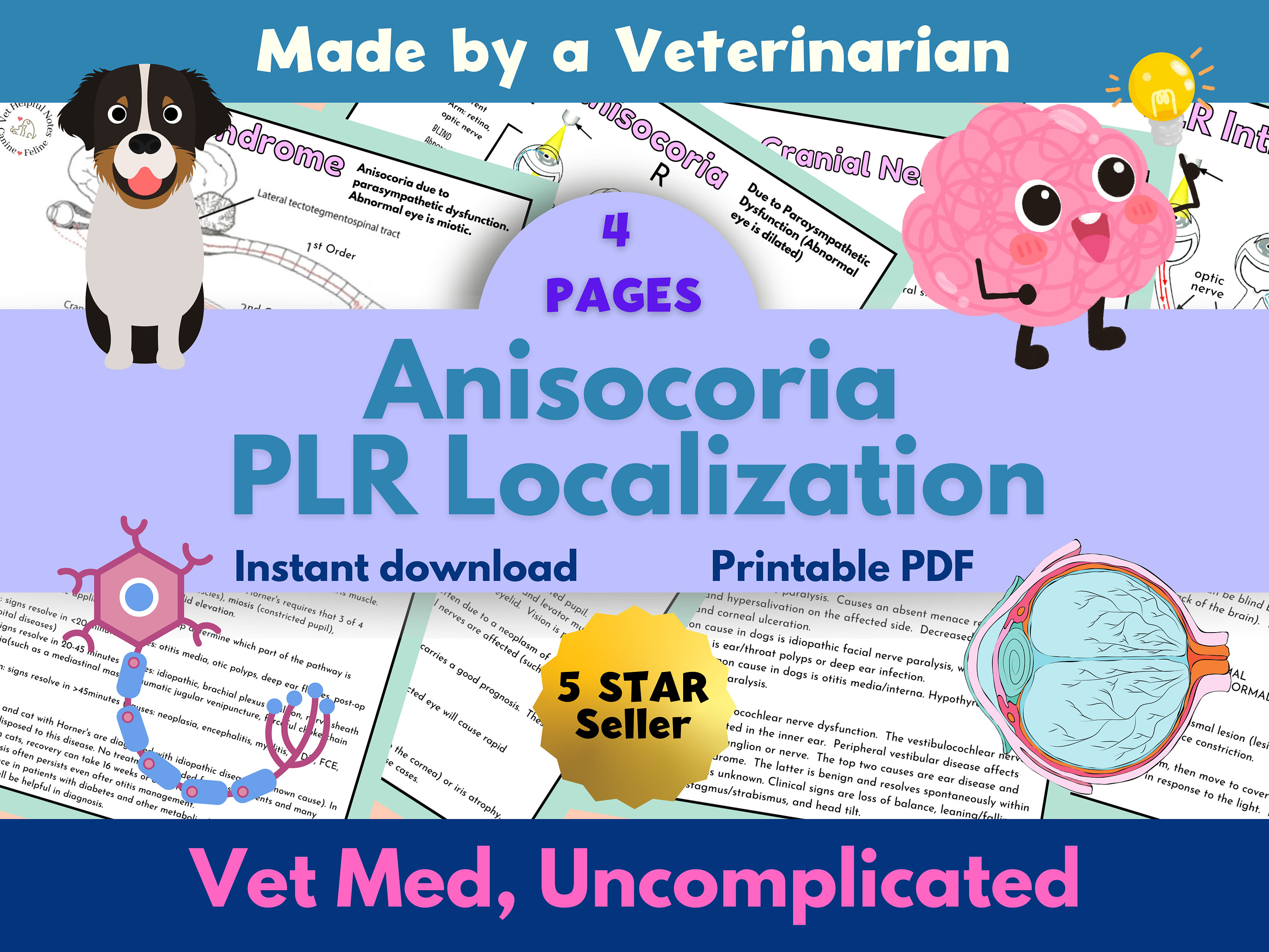 Vet Tech Neurology Study Notes Vet Nurse Cheat Sheets Vet