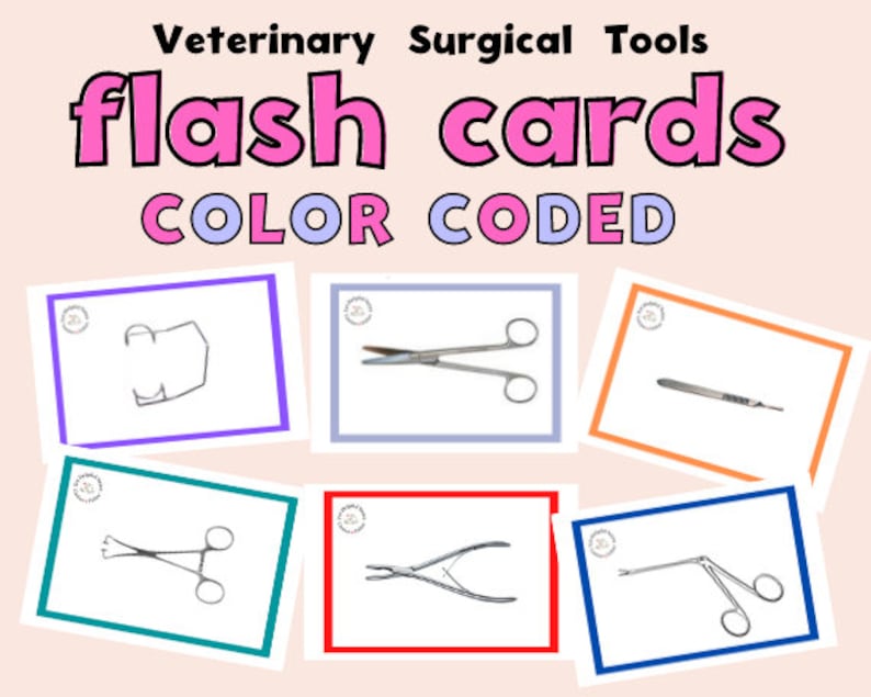 Vet Flash Cards Surgery Veterinary Flashcards Surgical - Etsy