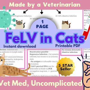 Könnte beinhalten: Eine druckbare PDF-Infografik über das feline Leukämievirus (FeLV) bei Katzen. Die Infografik ist in Abschnitte mit Überschriften wie "Progressive Infektion", "Regressive Infektion", "Abortive Infektion" und "FeLV-Virus durch PCR" unterteilt. Sie enthält auch ein 5-Sterne-Verkäufer-Abzeichen und den Text "Tiermedizin, unkompliziert".