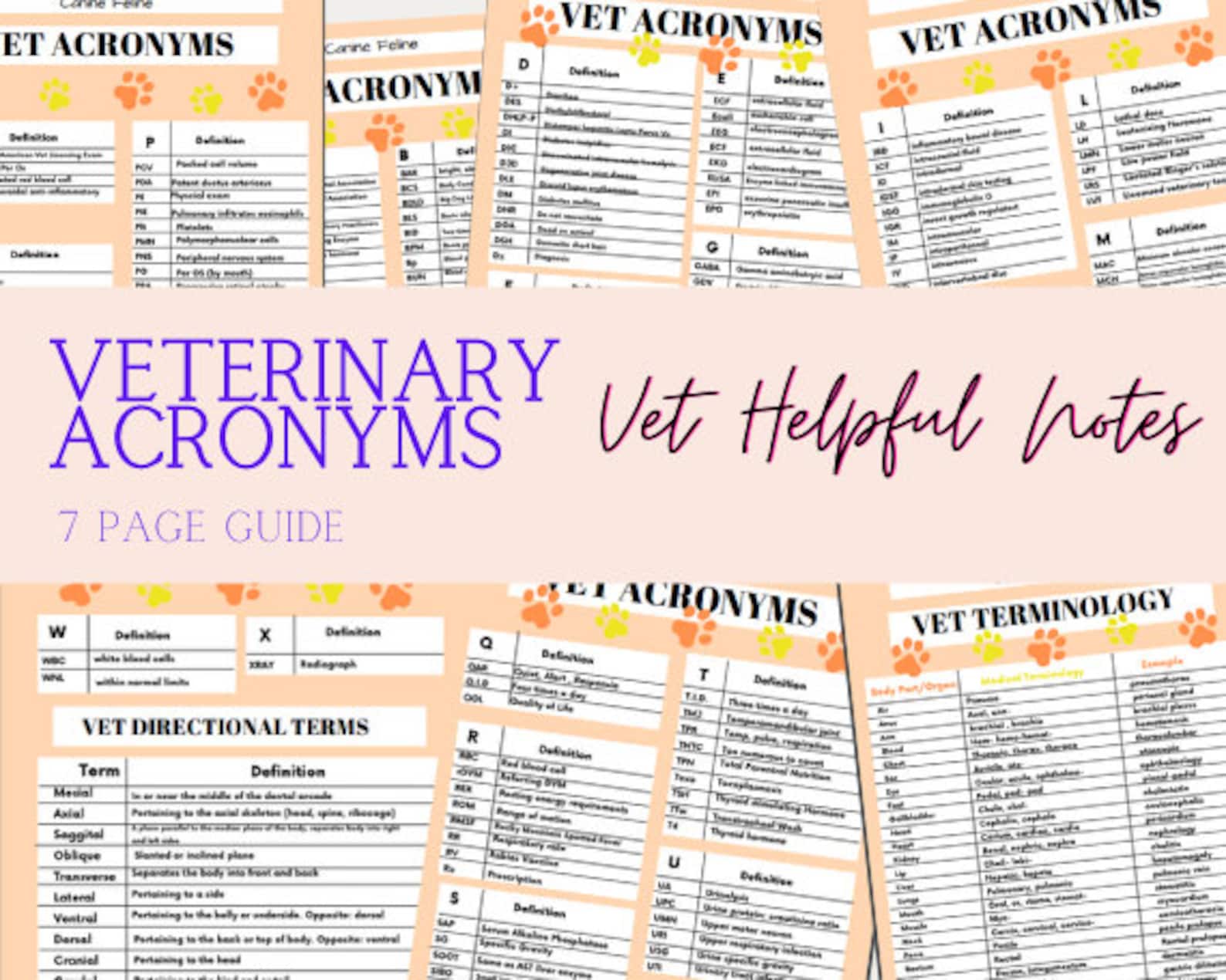 Veterinary Acronyms Guide Vet Terminology Etsy