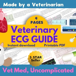 Schede di riferimento per l&#39;ECG di Vet Med, guida all&#39;ECG per infermiere veterinario, guida all&#39;ECG per tecnologia veterinaria