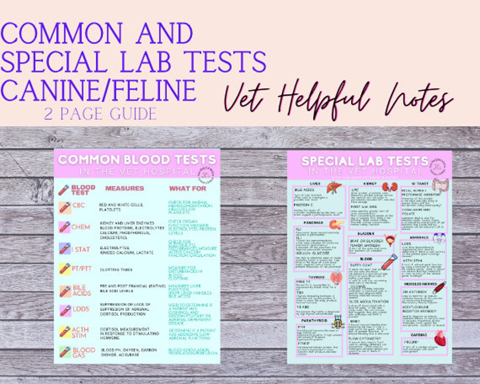 Common and Special Canine/feline Blood Tests Vet Tech Vet Etsy