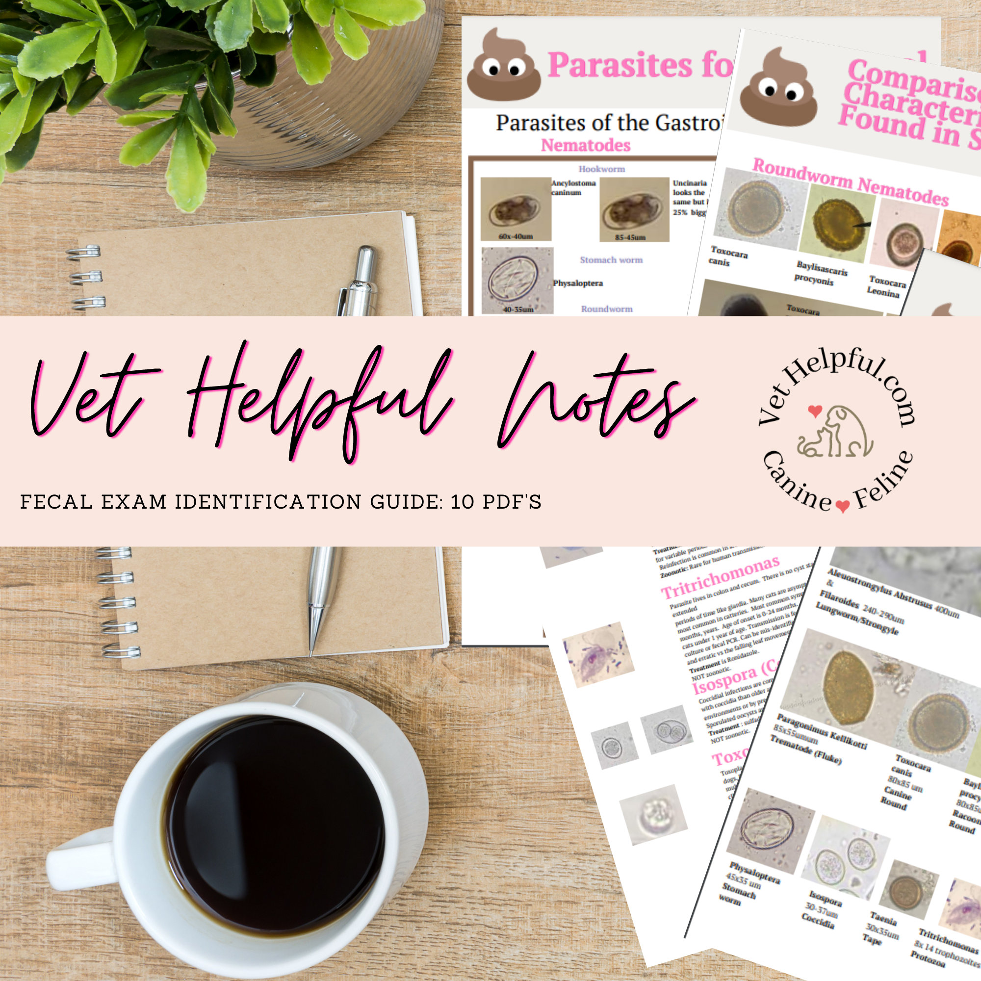 Veterinary Fecal Parasite Guide Vet Tech Fecal Vet Nurse | Etsy