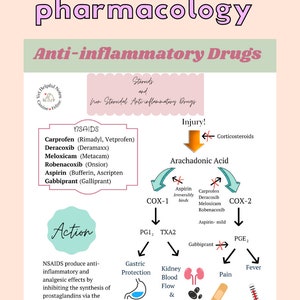 May include: A pink and green infographic titled "Vet Helpful Notes: Pharmacology" explains the action of anti-inflammatory drugs, including NSAIDs and steroids. The infographic shows the different types of NSAIDs, their action on the body, and the potential side effects. It also warns against administering NSAIDs and steroids together.