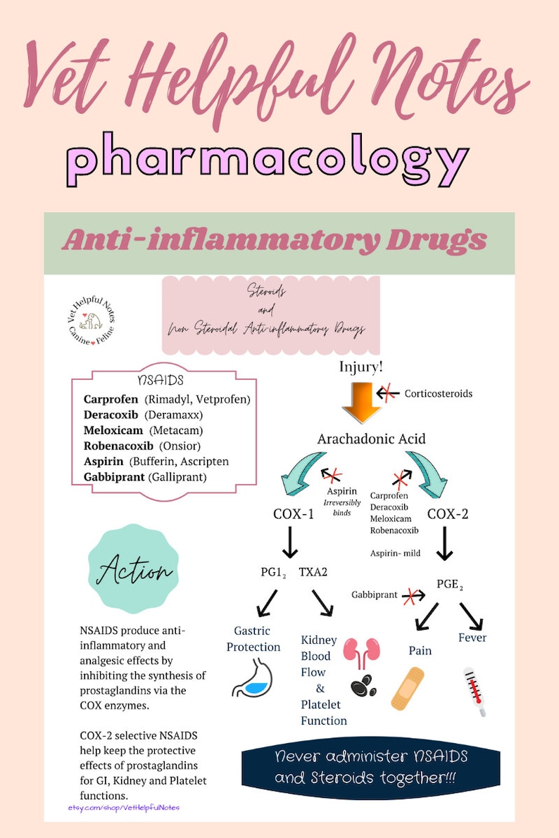 May include: A pink and green infographic titled "Vet Helpful Notes: Pharmacology" explains the action of anti-inflammatory drugs, including NSAIDs and steroids. The infographic shows the different types of NSAIDs, their action on the body, and the potential side effects. It also warns against administering NSAIDs and steroids together.