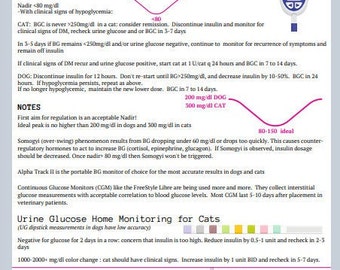 Canine Katzendiabetes-Leitfaden, Tierarzt-Studenten-Diabetes