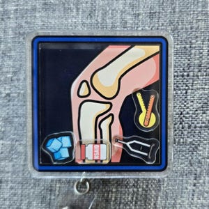 May include: A clear plastic badge holder with a blue border and a cartoon image of a knee joint. The image includes a ruler, ice pack, crutches, and a bottle of medication labeled "NSAID".