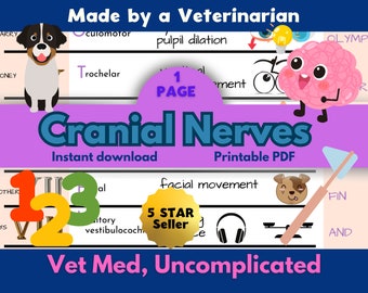 Canine/Feline Cranial Nerves Sheet- Vet Tech, Vet Nurse, Vet Student