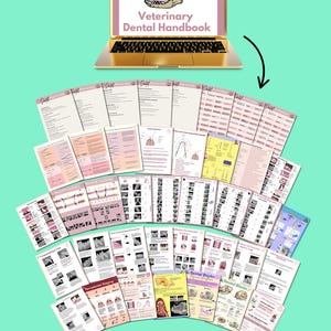 May include: A gold laptop displays a Veterinary Dental Handbook title with a dog skull graphic. Below, a fan of printed pages with diagrams and text is arranged. A cup of coffee sits at the bottom. The background is a light teal color.