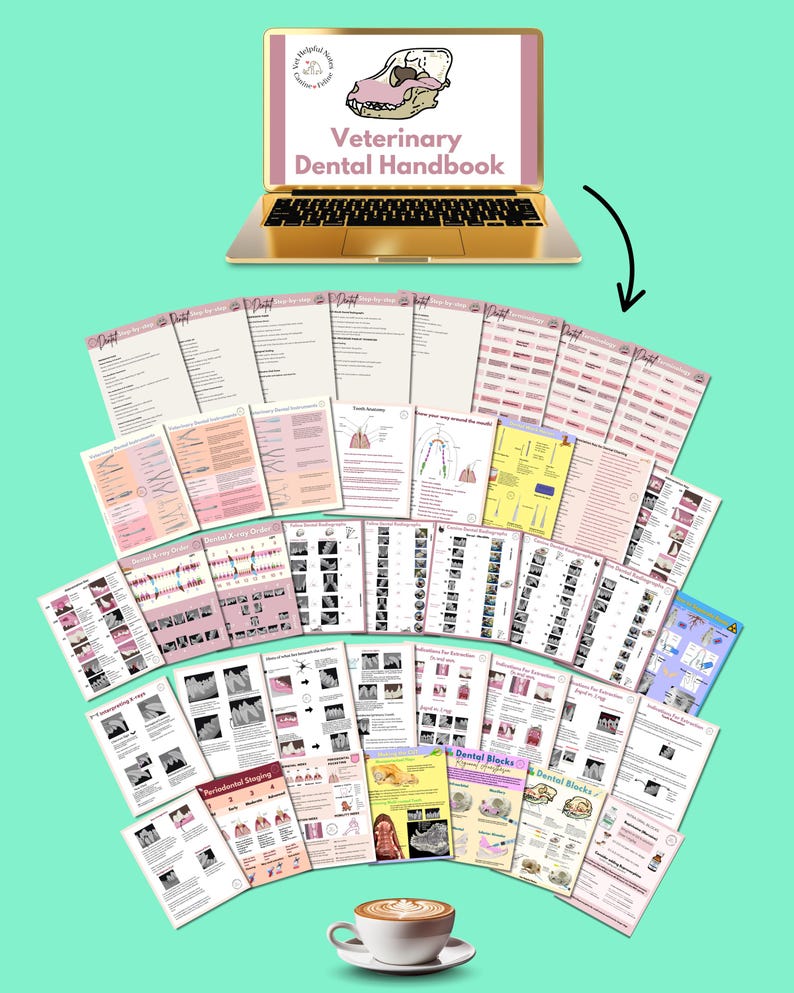 May include: A gold laptop displays a Veterinary Dental Handbook title with a dog skull graphic. Below, a fan of printed pages with diagrams and text is arranged. A cup of coffee sits at the bottom. The background is a light teal color.