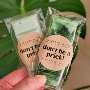 Cactus Flower Wax Melt | Floral Wax Melt | Fresh Scent | Gift for her | Plant Lover | Plant Lover Gift | Succulent Gift | Cactus Lover Gift