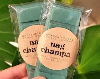 Crystal Shop Wax Melt | Incense Soy Wax Melt | Earthy Wax Melt | Boho Wax Melt | Metaphysical Witchy Gift for her
