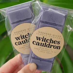 Witches Cauldron Wax Melt | Fall Wax Melt | Halloween Wax Melt | Spicey Wax Melt | Spooky Wax Melt | Witchy Wax Melt | Witchy Gift | Spooky