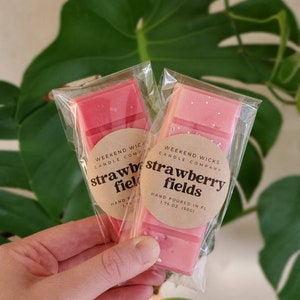 Strawberry Wax Melt |  Sweet Wax Melt | Fruity Scent | Fruity Wax Melt | Summer Scent | Gift for her | Juicy Scent |