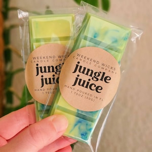 Fruity Wax Melt | Fruity Wax Melt | Tropical Wax Melt | Gift for her | Beachy Wax Melt | Beach Lover Gift |