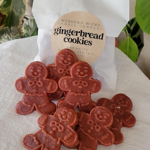 Gingerbread Cookie Wax Melts | Food Wax Melts | Sweet Wax Melts | Birthday Wax Melts | Foodie Gift | Bakery Scent | Christmas Gift |