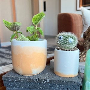May include: A collection of home decor items including a small potted cactus with googly eyes, a green jade obelisk, a white crystal geode, and a stack of black lava rock coasters.