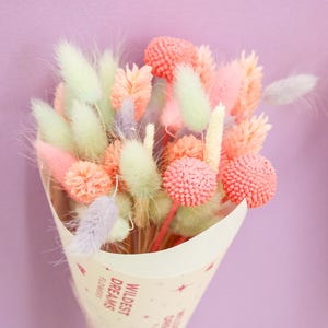 Pastel Bunny Tails Bunch | Pink Lavender Blue Dried Flowers | Soft Decorative Grass Stems Boho Home Decor | Gift or DIY Styling Lilac Tails
