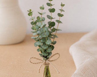 Mini Preserved Eucalyptus Bunch | Tiny Dried Greenery Posy for Vase Styling & Home Decor