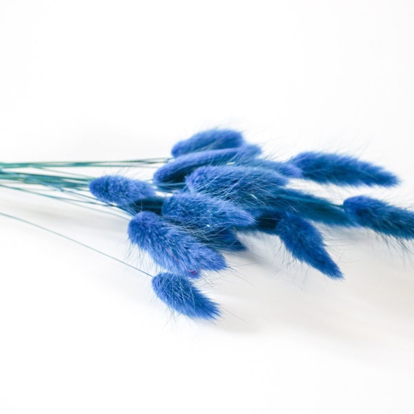 Blue Dried Bunny Tail, Dried Fluffy Tails, Rabbit Tails, Dried Natural Grass, Dried Lagurus Grass, Dried Flower Bouquet, Mini Dried Flowers