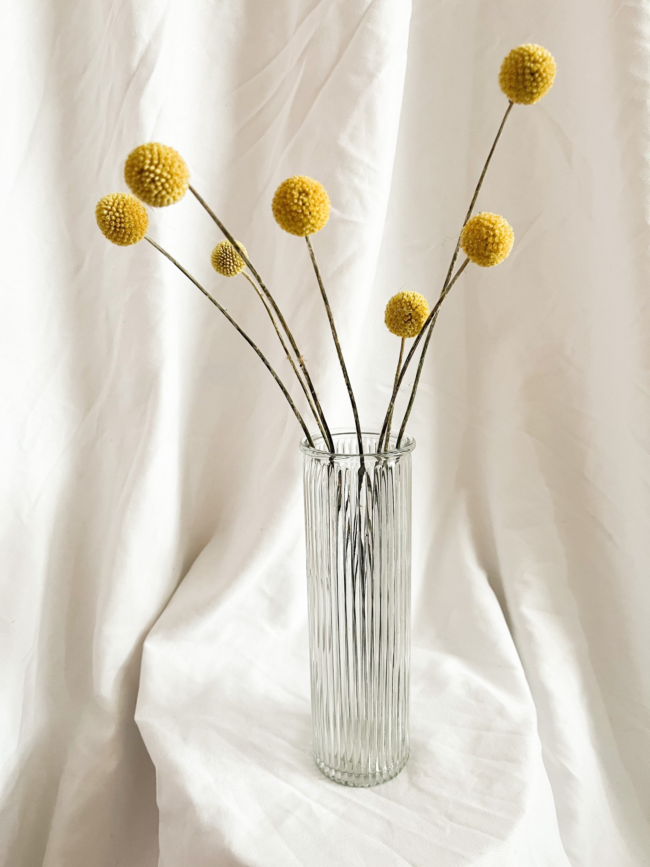 Dried Flower Bouquet, Navy and Yellow Dried Flowers, Dried Flower  Arrangement, Grey Pampas, Bunny Tails