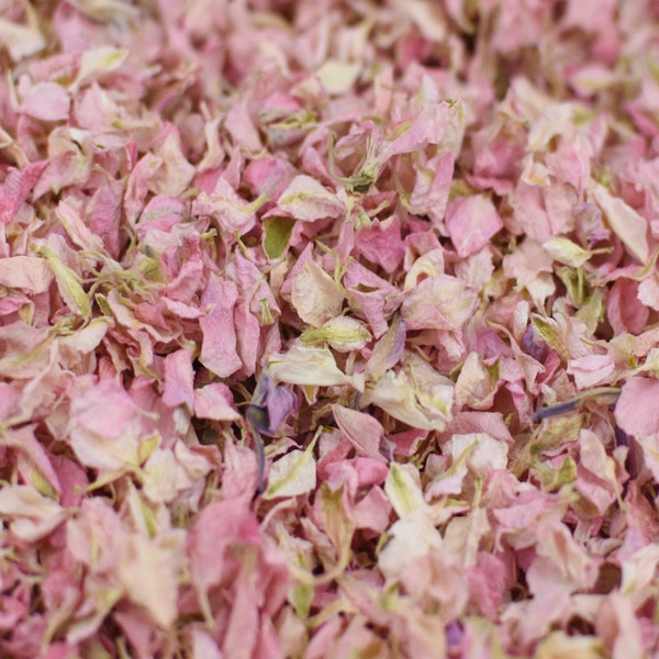 Biodegradable Confetti,Dried Flowers, Natural Confetti, Flower Confetti, 1 Litre, Petal Confetti, Wedding Decor, pale pink larkspur