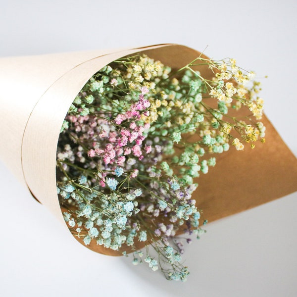 Dried Rainbow Gypsophila, Dried Flower Bunch, Dried Baby'S Breath, Small Dried Flowers,Boho Wedding Real Dried Flowers Flower Wreath