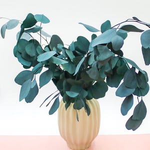 Preserved Populus Eucalyptus Bunch – Natural Greenery for Rustic Wedding Decor, DIY Crafts, Vase Fillers, or Long-Lasting Home Decorations