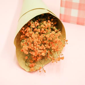 Orange Dried Gypsophila Bouquet: Preserved Baby&#39;s Breath