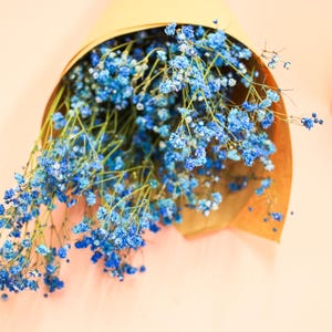 Dried Blue Gypsophila – Preserved Flowers for Weddings, Home Decor, Floral Arrangements, Craft Projects, Blue Baby’s Breath, Flower Bunch