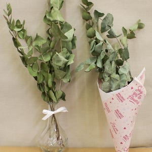 Premium Preserved Eucalyptus Long-Lasting, Natural Greenery for Home Decor, Weddings Crafts. Sustainable, Fresh-Looking Greenery Year round
