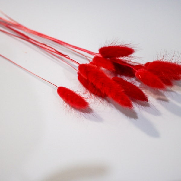 Red Bunny Tails, Red Dried Flowers Bouquet, Pampas Grass Decor For Home Decor, Dried Lagurus, Red pampas Grass UK, Cake Decor, Pampas Grass