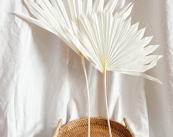 White Sun Palm Leaves,Pastel Sun Palm bleached,Dried Palm Leaves, Exotic Decor,Sun Palm Leaf,Summer Hat,Palm Cake Topper,Dried flowers