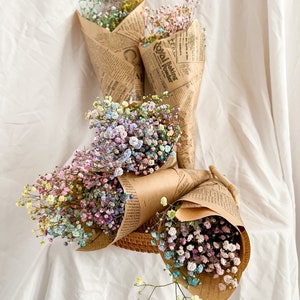 Baby's Breath, Gypsophila Preserved Pink Color, Dried Flowers, Dried Plants,  DIY Flower Arrangements, Wedding Bouquet Supplies 