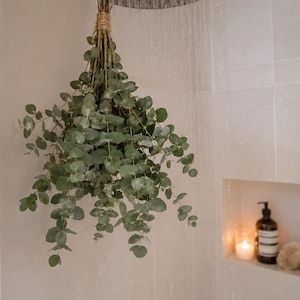 May include: A silver shower head streams water over a bunch of fresh eucalyptus leaves tied with twine. The green leaves hang in front of a tiled wall. A small shelf in the wall holds a candle, soap dispenser, and a sponge.