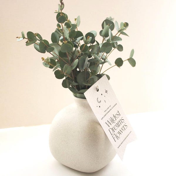 Dried Eucalyptus Bouquet | Cinerea Greenery Stems uk, Natural Home styling, Wedding Table Decor real preserved eucalyptus
