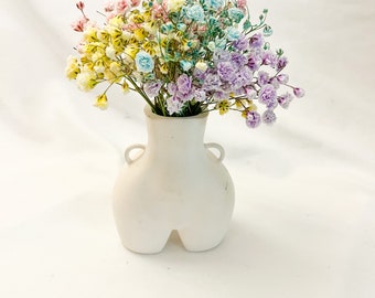 Gypsophile blanche, cadeau boîte aux lettres, fleurs pour maman, fleurs de mariage, gypsophile, décoration de Pâques, gypsophile fraîche, 5 tiges