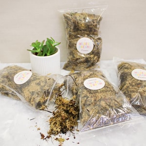 Sphagnum Moss 250g – Live Moss for Indoor Plants, Terrariums, Propagation & Orchids | Orchid Bark Mix, UK Seller, Eco Plant Gift