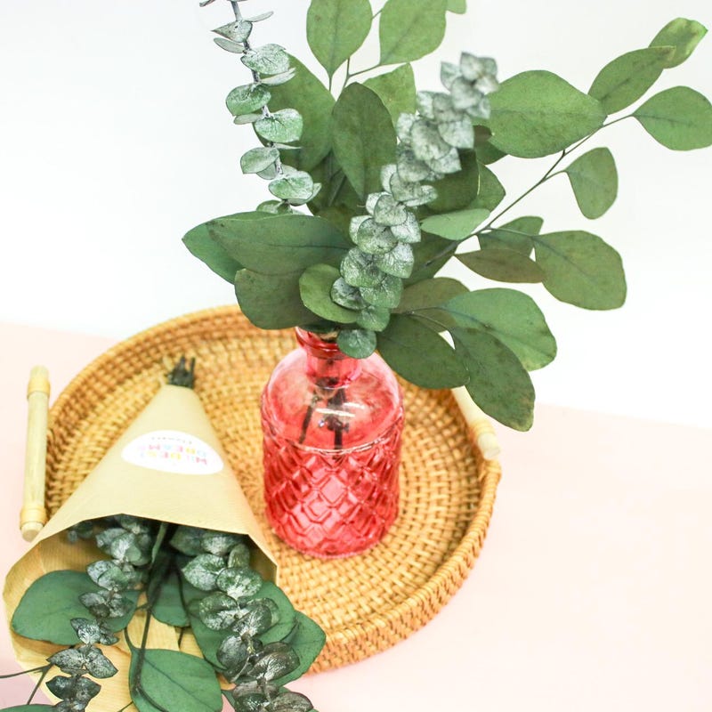 Preserved Eucalyptus - Etsy