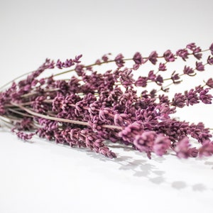 Dried Pink Lavender Flower Bunch: Rustic Home Decor, Sleep Aid