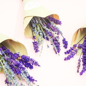 Dried French Lavender Mini Bunch: Rustic Wedding Favor, Aromatherapy