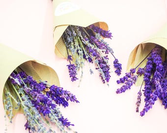 Dried French Lavender Mini Bunch: Rustic Wedding Favor, Aromatherapy