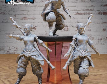 Monk Adventurer Female Set of 3 DND Miniatures Legends of the East Collection Dungeons and Dragons Mini Resin 3d Printed