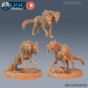 May include: Three tan-colored miniature figurines of two-headed wolves in various poses. The figures feature detailed fur textures, snarling expressions, and are mounted on circular stone-textured bases. Text includes EPIC Miniatures, SIZE:MEDIUM, and PRE-SUPPORTED.