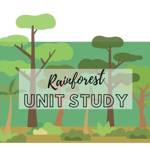 May include: A colorful illustration of a rainforest with green trees and the text "Rainforest UNIT STUDY" in a white box.