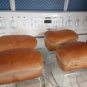 K&ouml;nnte beinhalten: Vier Laibe frisch gebackenes braunes Brot auf Glasplatten. Das Brot liegt auf einer wei&szlig;en Arbeitsplatte vor einem wei&szlig;en Herd mit einer Digitaluhr, die 1:09 anzeigt.
