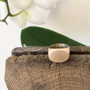 Oval signet ring, stamp ring, silver matt ring, gold ring, thick gold ring, 14k gold signet ring